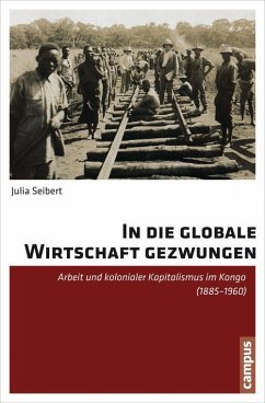In die globale Wirtschaft gezwungen (eBook, PDF) - Seibert, Julia