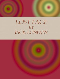 Cover Lost Face (eBook, ePUB)
