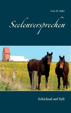 Seelenversprechen (eBook, ePUB) - Sültz, Uwe H.