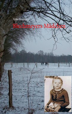 Blechmeyers Mädchen (eBook, ePUB)