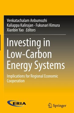 Investing in Low-Carbon Energy Systems