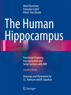 The Human Hippocampus - Duvernoy, Henri M.; Cattin, Francoise; Risold, Pierre-Yves