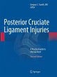 Posterior Cruciate Ligament Injuries - Bild 1