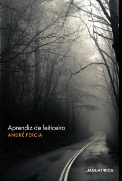 Aprendiz de feiticeiro (eBook, ePUB) - Percia, André