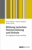 Bildung zwischen Heimerziehung und Schule (eBook, PDF)