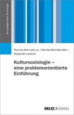 Kultursoziologie - eine problemorientierte Einführung (eBook, PDF)