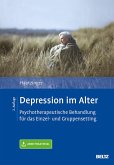 Depression im Alter (eBook, PDF)