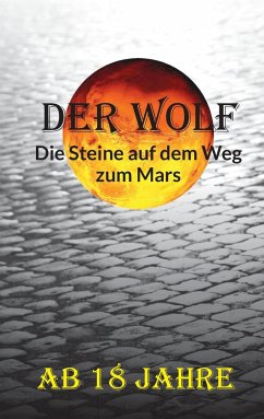 Die Steine auf dem Weg zum Mars