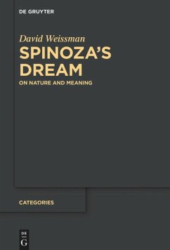 Cover Spinoza¿s Dream