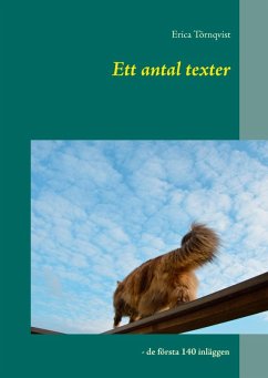Ett antal texter (eBook, ePUB) - Törnqvist, Erica