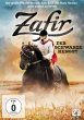 Zafir - Der schwarze Hengst - Bild 1