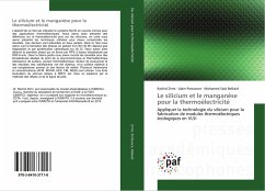 Le silicium et le manganèse pour la thermoélectricité - Zirmi, Rachid;Portavoce, Alain;Belkaid, Mohamed Said