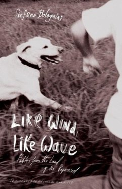 Like Wind, Like Wave (eBook, ePUB) - Bolognini, Stefano