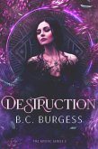 Destruction (The Mystic Series, #5) (eBook, ePUB)