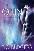 Quin (The Mystic Series) (eBook, ePUB)
