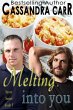 Melting Into You (Savor Series, #1)... - Bild 1