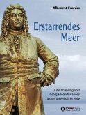 Erstarrendes Meer (eBook, ePUB)