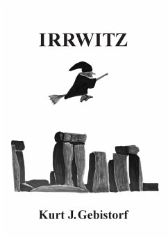 Irrwitz (eBook, ePUB)