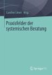 Praxisfelder der systemischen Beratung... - Bild 1