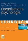 Organisationspsychologie (eBook, PDF)