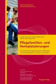 Pflegefamilien- und Heimplatzierungen (eBook, PDF)