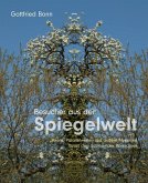 Besucher aus der Spiegelwelt (eBook, ePUB)