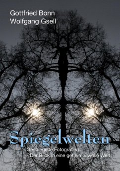 Spiegelwelten (eBook, ePUB) - Bonn, Gottfried