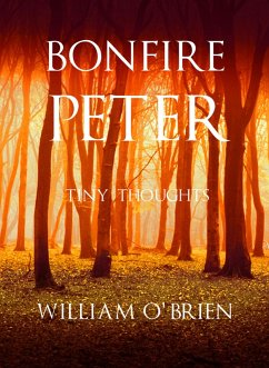 Bonfire Peter (Peter: A Darkened Fairytale, #13) (eBook, ePUB) - O'Brien, William