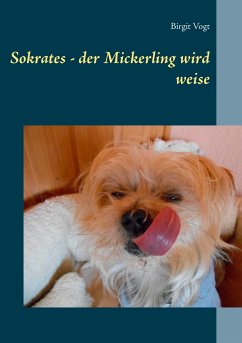 Sokrates - der Mickerling wird weise - Vogt, Birgit