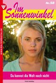 Im Sonnenwinkel 58 – Familienroman (eBook, ePUB)