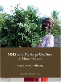 MMS und Moringa oleifera in Mozambique (eBook, ePUB)