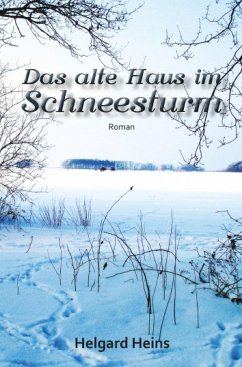 Das alte Haus im Schneesturm (eBook, ePUB) - Heins, Helgard