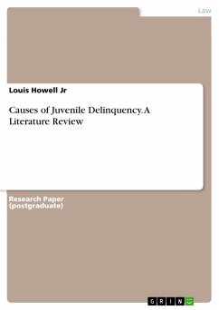 Causes of Juvenile Delinquency. A Literature Review (eBook, PDF)
