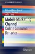 Mobile Marketing Channel - Bild 1
