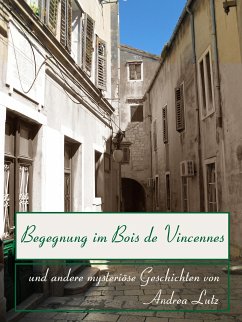 Begegnung im Bois de Vincennes (eBook, ePUB) - Lutz, Andrea