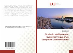 Etude du vieillissement hygrothermique d¿un composite unidirectionnel - Chaaben, Rihem;Bouaziz, Mariem