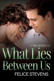 What Lies Between Us (The Breakfast Club, #4) (eBook, ePUB)