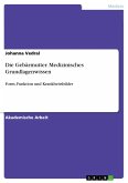 Die Gebärmutter. Medizinisches Grundlagenwissen (eBook, ePUB)