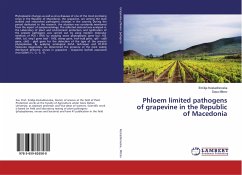 Phloem limited pathogens of grapevine in the Republic of Macedonia