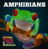 Amphibians