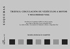 Tráfico, circulación de vehículos a motor y seguridad vial : esquemas Tráfico, circulación de vehículos a motor y seguridad vial : esquemas