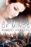 A Meeting of Minds (eBook, ePUB) A Meeting of Minds (eBook, ePUB)