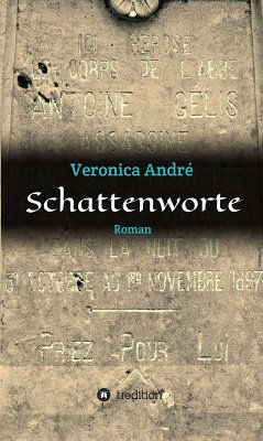 Schattenworte (eBook, ePUB) - André, Veronica