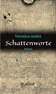 Schattenworte (eBook, ePUB) - André, Veronica