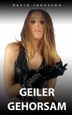 Geiles Gehorsam (eBook, ePUB)