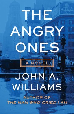 Cover The Angry Ones (eBook, ePUB)