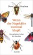 Wenn der Nagekäfer zweimal klopft... - Bild 1