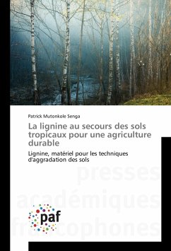 La lignine au secours des sols tropicaux pour une agriculture durable - Mutonkole Senga, Patrick