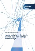 Neural activity in the leech studied by a new voltage sensitive dye