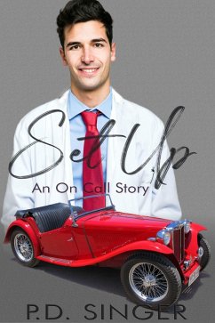 Set Up (On Call) (eBook, ePUB) - Singer, P. D.